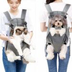 Chien Chat