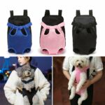 Chien kangourou Chat