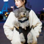 Chat Chien kangourou