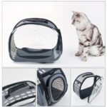 Chat Chien