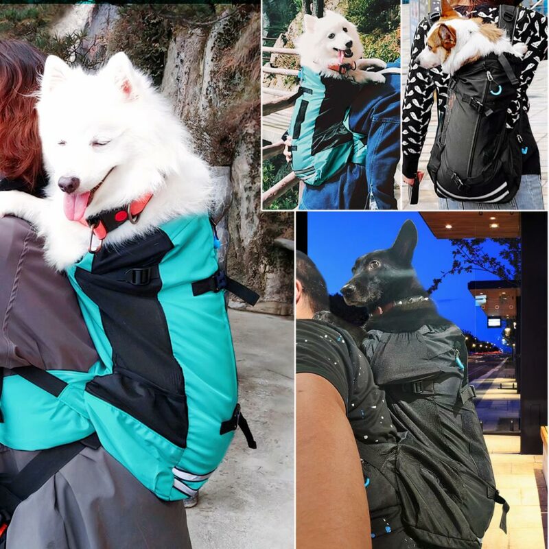 Chien Sac à dos pour chien